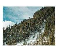 Puzzle 1000 Piezas Adultos Rompecabezas -bosques,árboles,Pendiente,Arroyo,Nieve,Naturaleza 70x50cm