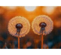 Puzzle 1000 Piezas Diente León Rompecabezas Adultos Flores Puzzles Desafío Imposible 75x50cm Rompecabezas DIY Pintura para Adultos y Chico Mayores 14 Años Regalos Mujeres para Decoración Hogar C-862