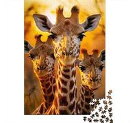 Puzzle 1000 Piezas Giraffe Ritratto di famiglia Rompecabezas 52x38cm/1000pcs Regalos para Adultos Y Niños Cartón 100% Reciclado Creative Intelectual Desafío