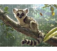 Puzzle 1000 Piezas, LéMur De Cola De Anillo Animal Rompecabezas Adultos Puzzle, Desafiante Puzzles de Decoración Juego de, Entretenimiento Juego Educativo, para Regalo Decoración R7KH-158