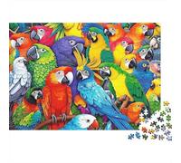 Puzzle 1000 Piezas Loro Colorido, Bandada Arcoíris, Piezas Resistentes Encajables, Papel Reciclado, Hombre Mujer, 38x26cm