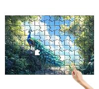 Puzzle 1000 Piezas Nube, Rompecabezas Adultos, Juegos Educativos Familiares, Desafía el Puzzle Pavo Real Creativo, Conjunto Colorido e Interesante con Caja para Regalo Mujer Decoracion Habitacion P-2