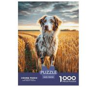 Puzzle 1000 Piezas Pastor Australiano Perro Rompecabezas Colorido, Exclusivo De Amazon para Adultos Y Niños ≥12 Años 70x50cm/1000pcs