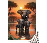 Puzzle 1000 Piezas Puesta del Sol de la Familia del Elefante Rompecabezas 38x26cm/1000pcs Regalos para Adultos Y Niños Cartón 100% Reciclado Creative Intelectual Desafío