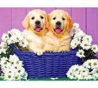 Puzzle 1000 Piezas,Rompecabezas para Adultos,Rompecabezas Perros crisantemo Frameless de para Adultos y niños Regalos Decorativos
