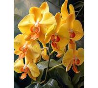 Puzzle 1314 Piezas, Orquídeas Amarillas Puzzles para Adultos,Rompecabezas de Adultos, Juguetes de Regalo Entretenimento Puzzle, Juego de Rompecabezas