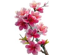 Puzzle 1500 Piezas Adultos Flores Ciruelo Acuarela, Juego Creativo Desarrolla la Concentraciòn y la Logica, Divertido Juego Familiar Puzzles 1500 Piezas 87 x 57 cm