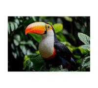 Puzzle 1500 Piezas Adultos Pájaro Puzzle para Adultos Planta Rompecabezas Juguetes Educativos Regalos Originales para Mujer Rompecabezas Entretenimiento Creativo Divertido Familia Juego 87x57cm H-03