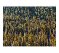 Puzzle 1500 Piezas Adultos Rompecabezas -bosques,Vista aérea,árboles 87x57cm