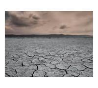 Puzzle 1500 Piezas Adultos Rompecabezas -Tierra,Desierto,grieta 87x57cm