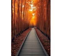 Puzzle 1500 Piezas Adultos, Sendero Jardín Otoño Puzzles Adultos, Ejercitar la Lógica y la Concentraciòn Juegos Educativo, Rompecabezas 1500 Piezas 87x57 cm