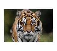 Puzzle 1500 Piezas Adultos Tigre, Puzzle Animal, Puzzles 1500 Piezas Adultos, Rompecabezas de Madera con Caja Regalo Tamaño 87x57cm, Rompecabezas Desafiante para Toda la Familia, Regalo Mujer -1942