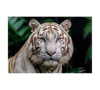 Puzzle 1500 Piezas Animales Puzzles Tigre Medidas 87x57cm Rompecabezas para Adultos Entretenimiento Creativo, Divertido Clásico Rompecabezas Juguetes Educativos Regalos Originales para Mujer A-85