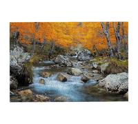 Puzzle 1500 Piezas Bosque, Puzzle Otoño, Puzzles 1500 Adultos, Rompecabezas Adultos con Caja Regalo, Rompecabezas de Madera Desafiante para Toda la Familia, Regalos Originales para Mujer Decor -2714