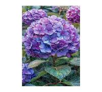 Puzzle 1500 Piezas Hortensia Morada, Juego Educativo, Desarrolla la Concentraciòn Mentàl y la Logica, 87x57 cm Puzzles 1500 Piezas Adultos