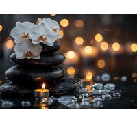 Puzzle 1500 Piezas Orquídea Puzzle Zen Rompecabezas Adultos, Rompecabezas Pieza de Madera Juguetes Jigsaw Arte, Jigsaw educa para Adultos y niños a Partir de 14 Años U-806
