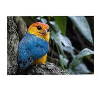 Puzzle 1500 Piezas Pájaro, Puzzle Madera Planta, Clásico Rompecabezas Desafiante para Toda la Familia, Juguetes Rompecabezas Letras en la Parte Posterior, Regalos Originales para Hombre Decor -1851