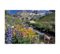 Puzzle 1500 Piezas Planta Puzzles Naturaleza Medidas 87x57cm Rompecabezas para Adultos Entretenimiento Creativo, Divertido Clásico Rompecabezas Juguetes Educativos Regalos Originales para Mujer D-22