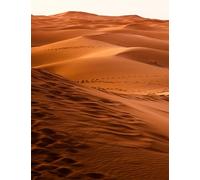 Puzzle 200 Piezas Adultos Desierto, Retos Divertidos, Relajarse, Desarrolla la Concentraciòn Mentàl, Rompecabezas Adultos 200 Piezas 35 x 25 cm