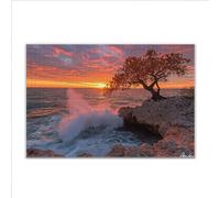 Puzzle 2000 Piezas Adultos Puzzle Océano Paisaje Rompecabezas Adultos XXL 100 x 70cm, Impossible Rompecabezas, Jigsaw Arte Juego Educa Familiar Aliviar El Estrés, Regalos para Hombres y Mujeres P-11