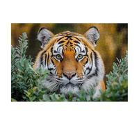 Puzzle 2000 Piezas Adultos Tigre Puzzle para Adultos Animales Rompecabezas Juguetes Educativos Regalos Originales para Mujer Rompecabezas Entretenimiento Creativo Divertido Familia Juego 99x70cm B-23