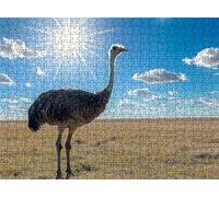 Puzzle 2000 Piezas Luz Sol Avestruz | Rompecabezas Adultos 99.5x70.5 cm | Puzzle XXL | Rompecabezas Jigsaw para Adultos | Un Divertido Desafiante Decorar Toda Familia | Mujer y Hombres Regalo s7h-954