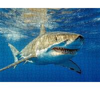 Puzzle 2000 Piezas mar tiburón | Rompecabezas Adultos 99.5x70.5 cm | Puzzle XXL | Rompecabezas Jigsaw para Adultos | Un Divertido Y Desafiante Decorar Toda La Familia | Mujer y Hombres Regalo s7h-428