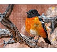 Puzzle 2000 Piezas, PáJaro Naranja Rompecabezas Adultos Puzzle, Desafiante Puzzles de Decoración Juego de, Entretenimiento Juego Educativo para Toda la Familia, para Regalo Decoración R7KH-636