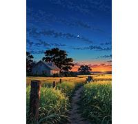 Puzzle 300 Piezas Adultos, Campos Atardecer Puzzles Adultos, Desarrolla la Logica y la Concentraciòn Juguetes Educativos, Rompecabezas 300 Piezas 40x28 cm