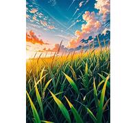 Puzzle 300 Piezas Adultos Campos Trigo Amanecer 40x28 cm, Juego Educativo, Ejercita Paciencia y Concentración, Puzzles 300 Piezas