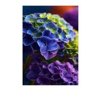 Puzzle 300 Piezas Adultos Flor Hortensia, Rompecabezas Imposable Entretenimiento Creativo Diversión, Puzzles Adultos 300 Piezas 40 x 28 cm