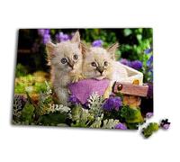 Puzzle 300 Piezas Gato Gatitos Siameses Ojos Azules Hermanos cestita Rompecabezas puzle para Adulto
