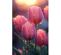 Puzzle 300 Piezas para Adultos y Familia, Rompecabezas de Gotas Rocío Tulipanes Rosas, 38x26 cm, Juego de Mesa de Descompresión y Pasatiempo, Regalo Creativo Navidad y Cumpleaños