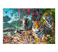 Puzzle 3000 pcs. Tiger Sanctuary