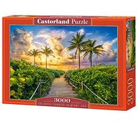 Puzzle 3000 pièces : Lever de Soleil coloré à Miami, USA