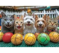 Puzzle 3000 Piezas Adultos Gato Puzle Imposible Fútbol americano Arte Jigsaw Puzzles Educa de Rompecabezas y Juego Familiar para Adultos y Adolescente a Partir de 14 Años Entretenimiento Regalos P-730