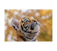 Puzzle 3000 Piezas Adultos Tigre Puzzle para Adultos Animales Rompecabezas Juguetes Educativos Regalos Originales para Mujer Rompecabezas Entretenimiento Creativo Divertido Familia Juego 122x81cm D-31
