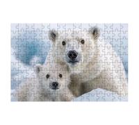 Puzzle 3000 Piezas Animal, Puzzle Oso, Puzzles 3000 Piezas Adultos, Rompecabezas de Madera con Caja Regalo, Rompecabezas Adultos para Toda la Familia, Regalos Originales para Mujer 122x81cm -1304