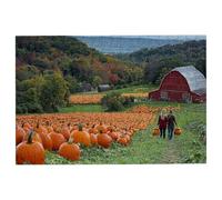 Puzzle 3000 Piezas Calabaza, Puzzle Otoño, Puzzles 3000 Adultos, Rompecabezas Adultos con Caja Regalo, Rompecabezas de Madera Desafiante para Toda la Familia, Regalos Originales para Mujer -2498