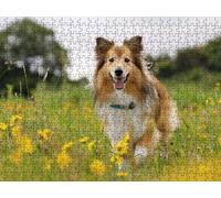 Puzzle 3000 Piezas, Flores De Perros Pastores Rompecabezas Adultos Puzzle, Desafiante Puzzles de Decoración Juego de, Entretenimiento Juego Educativo, para Regalo Decoración R7KH-630