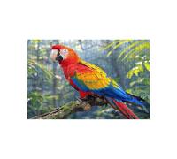 Puzzle 3000 Piezas, Loro Puzzle 3000 Piezas Madera 80 x 120CM con Caja de Papel de Colores y Bolsa de Malla Portátil, Rompecabezas Clásico Animal para Primavera Decoracion Pared Regalo Mujer LZPT00486