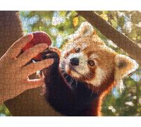 Puzzle 3000 Piezas, Los Pandas PequeñOs Son Lindos Rompecabezas Adultos Puzzle, Desafiante Puzzles de Decoración Juego de, Entretenimiento Juego Educativo, para Regalo Decoración R7KH-888