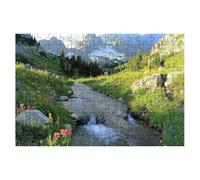 Puzzle 3000 Piezas Naturaleza, Puzzle Paisaje, Puzzles 3000 Piezas Adultos, Rompecabezas de Madera con Caja Regalo, Rompecabezas Adultos para Toda la Familia, Regalo Mujer, Decor 122x81cm -1714