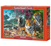 Puzzle 3000 Piezas Tiger Sanctuary