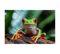 Puzzle 4000 Piezas Adultos Animales Puzzle para Adultos Rana Rompecabezas Juguetes Educativos Regalos Originales para Mujer Rompecabezas Entretenimiento Creativo Divertido Familia Juego 141x87cm C-54