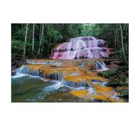 Puzzle 4000 Piezas Bosque Puzzles Caer Medidas 141x87cm Rompecabezas para Adultos Entretenimiento Creativo, Divertido Clásico Rompecabezas Juguetes Educativos Decor Regalos Originales para Mujer H-68