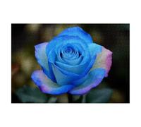 Puzzle 4000 Piezas Flor Puzzles Rosa Medidas 141x87cm Rompecabezas para Adultos Entretenimiento Creativo, Divertido Clásico Rompecabezas Juguetes Educativos Decor Regalos Originales para Mujer E-13