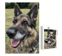 Puzzle 500 Piezas Adultos Perro & Animal, Rompecabezas con Letras Traseras y Póster, Pasatiempo Antiestrés, Decoración de Pared, Regalo Decorar Mujer Hombre 52 x 38 cm (14 Años +) P3#1179