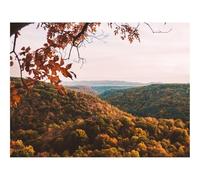 Puzzle 500 Piezas Adultos Rompecabezas -bosques,Vista aérea,otoño 52x38cm