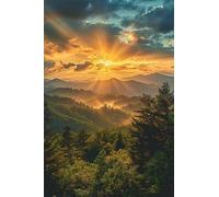 Puzzle 500 Piezas Bosques Amanecer, Puzzles Imposible, Desafiante Acertijo, Juegos de Rompecabezas para Toda la Familia, Puzzle Adultos 500 Piezas 52 x 38 cm